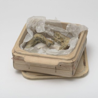 Wilhelmina Nell wins the Merit Award of the ABSA L'Atelier Award 2017